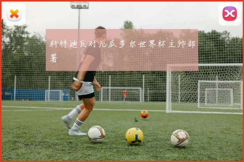 科特迪瓦对厄瓜多尔世界杯主帅部署