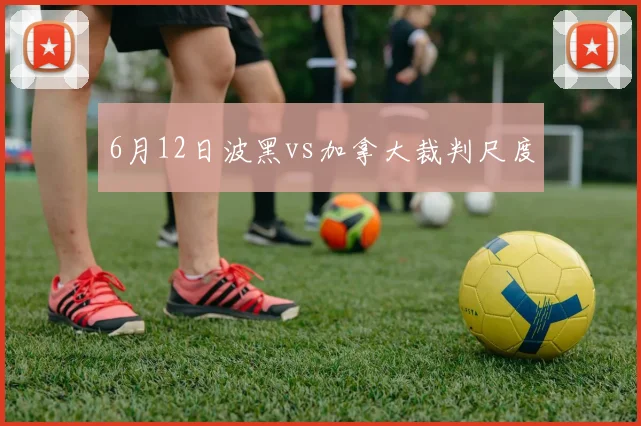 6月12日波黑vs加拿大裁判尺度