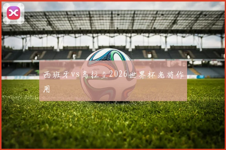 西班牙vs乌拉圭2026世界杯老将作用