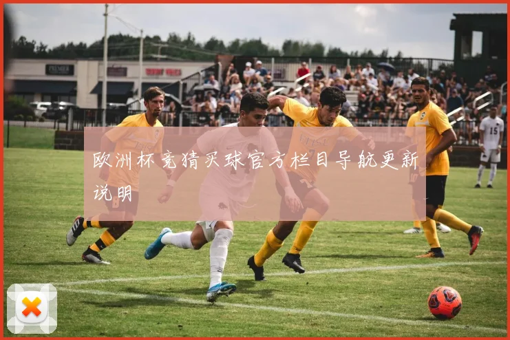 欧洲杯竞猜买球官方栏目导航更新说明