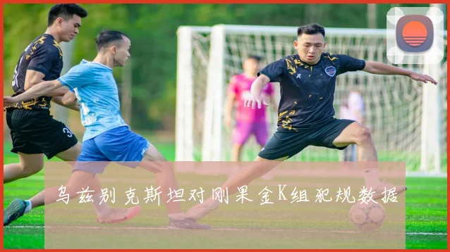 乌兹别克斯坦对刚果金K组犯规数据
