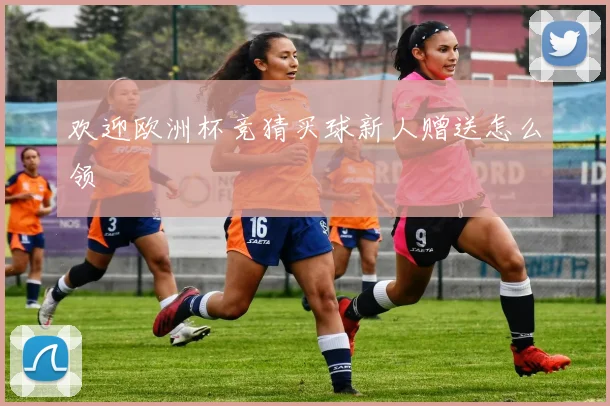 欢迎欧洲杯竞猜买球新人赠送怎么领