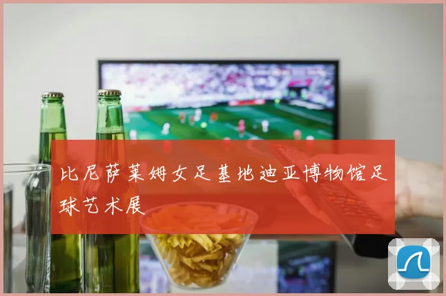 比尼萨莱姆女足基地迪亚博物馆足球艺术展