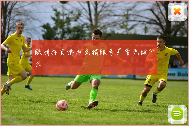 欧洲杯直播与竞猜账号异常先做什么